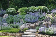 Stone steps & natural landscaping