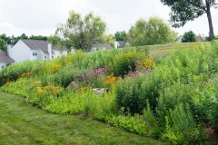 Coatesville landscaping
