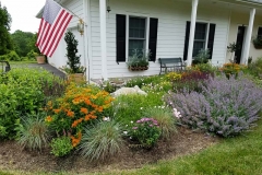 Natural landscaping at the front of the house