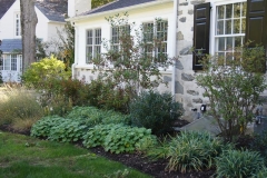 Landscaping at the front of the house